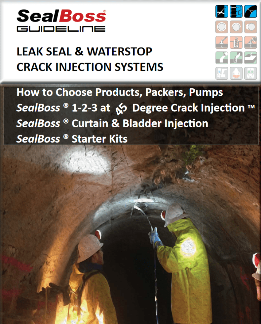 SealBoss ® Guideline Leak Seal Injection SealBoss Blog