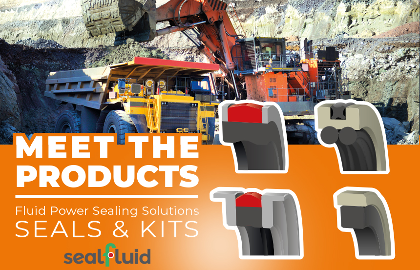Hydraulic Seals and Kits SealFluid