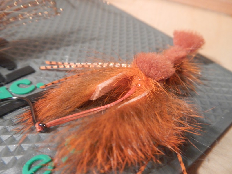 Fly Fishing Crawfish Patterns Sea Lice Hunting for Chrome in Cascadia