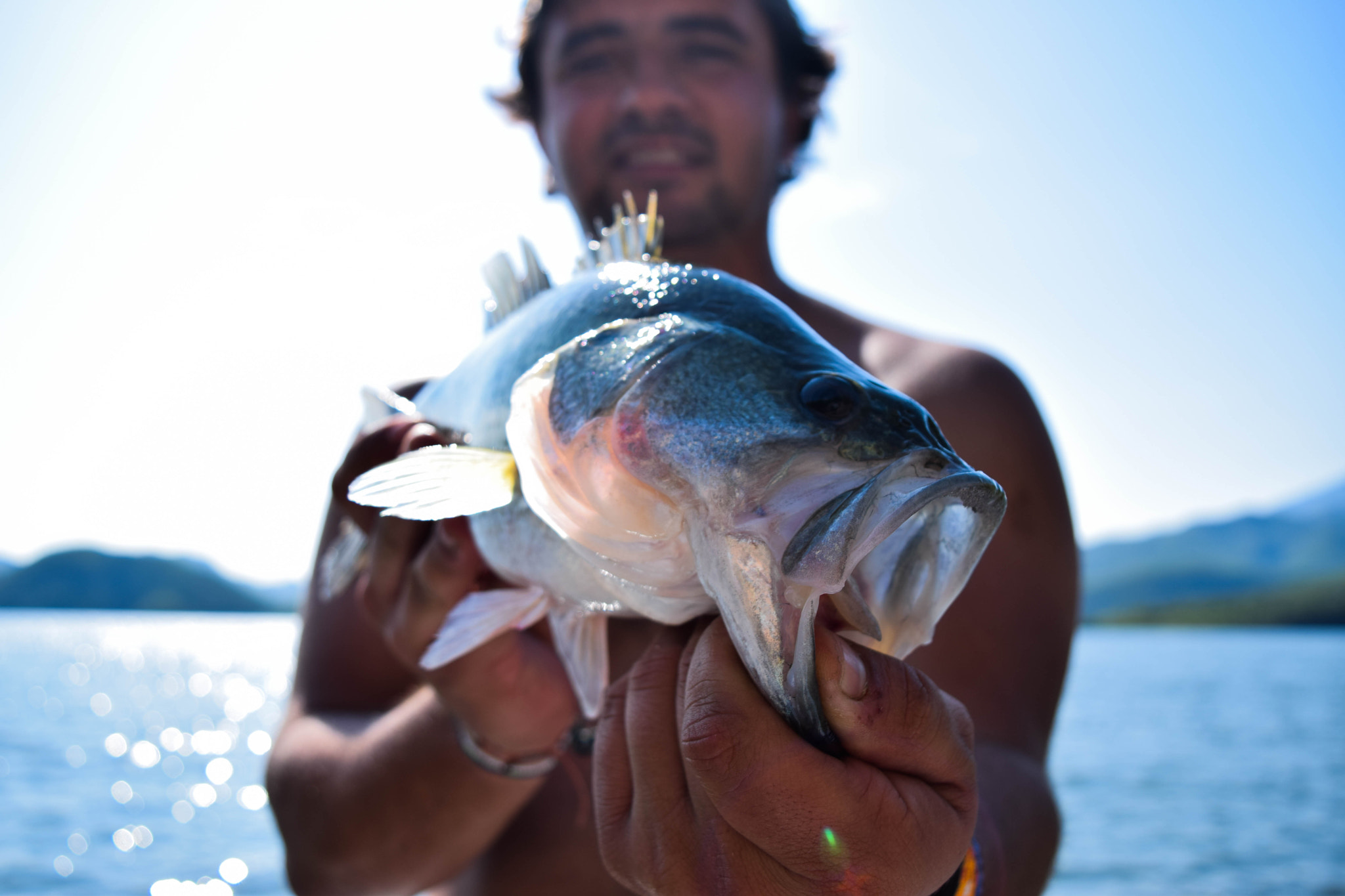 How Long Can Fish Live Out Of The Water