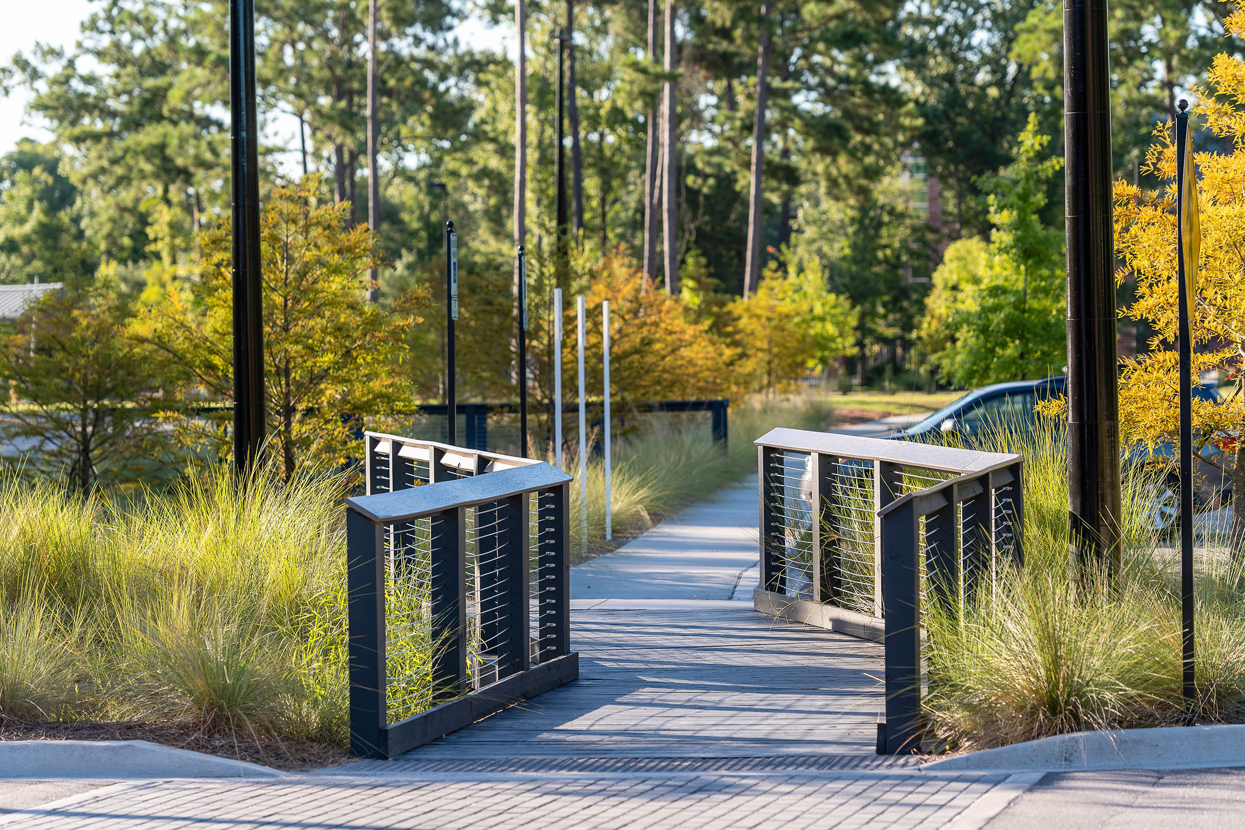 Wando Mount Pleasant Library SeamonWhiteside