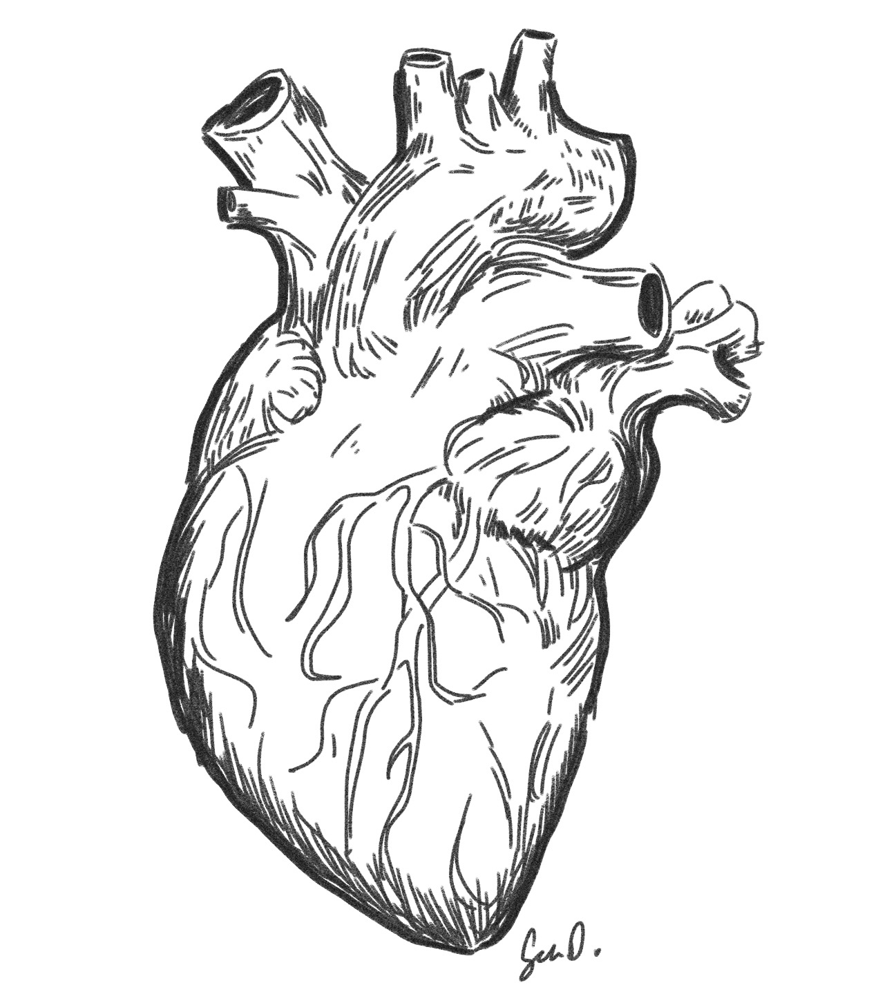 Virginia is for Lovers Sean of the South