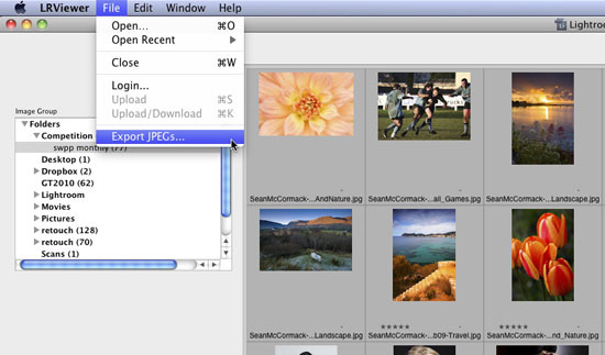 Reclaiming lost files via Previews Lightroom Blog