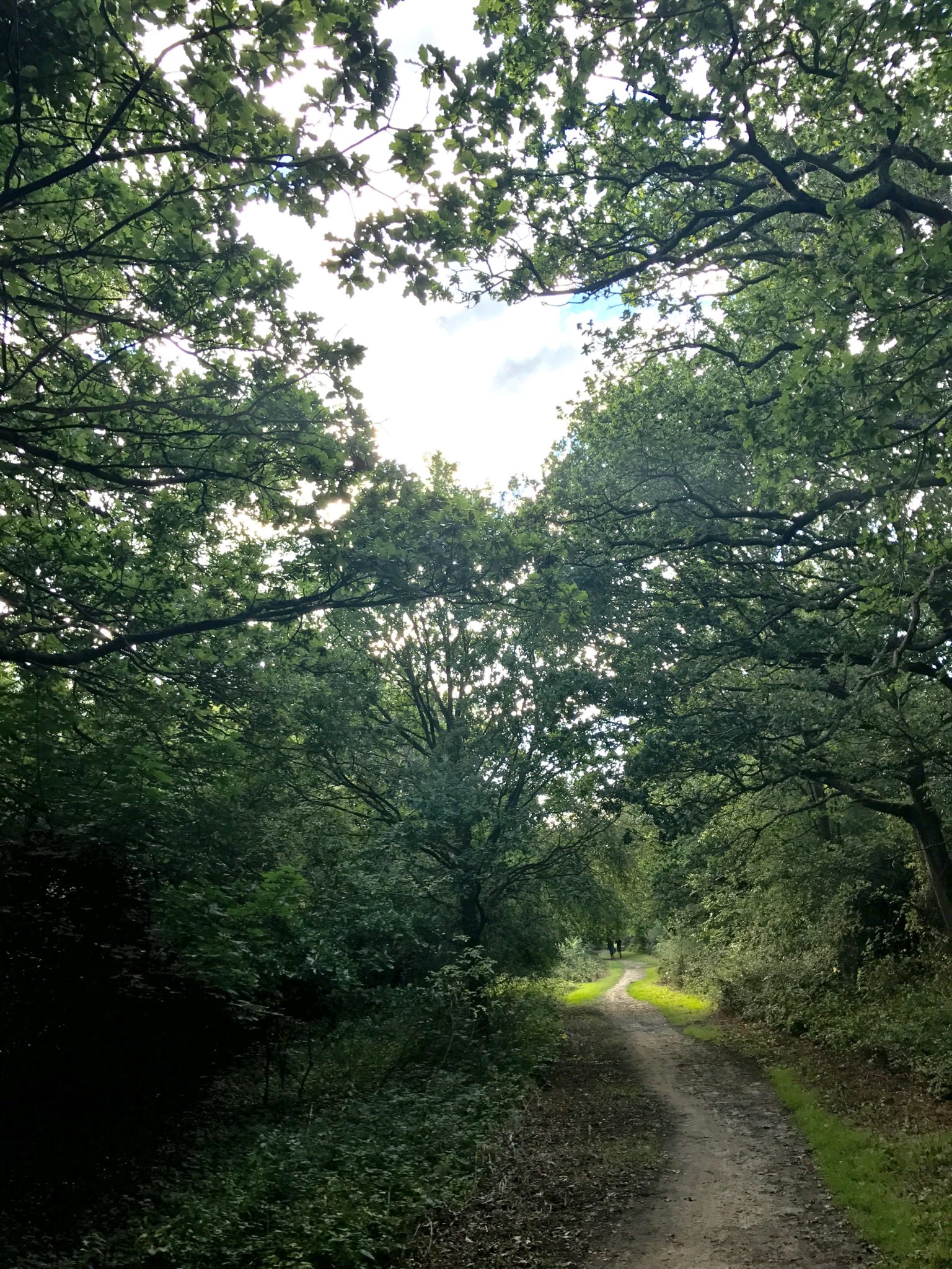 29++ Wild camping epping forest Campsites campingswag