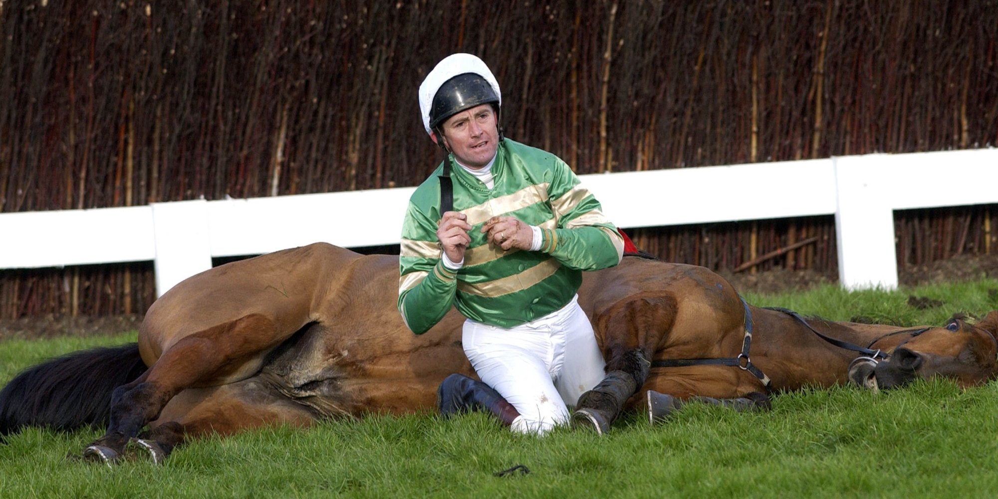 Cheltenham is murder Sean's Blog