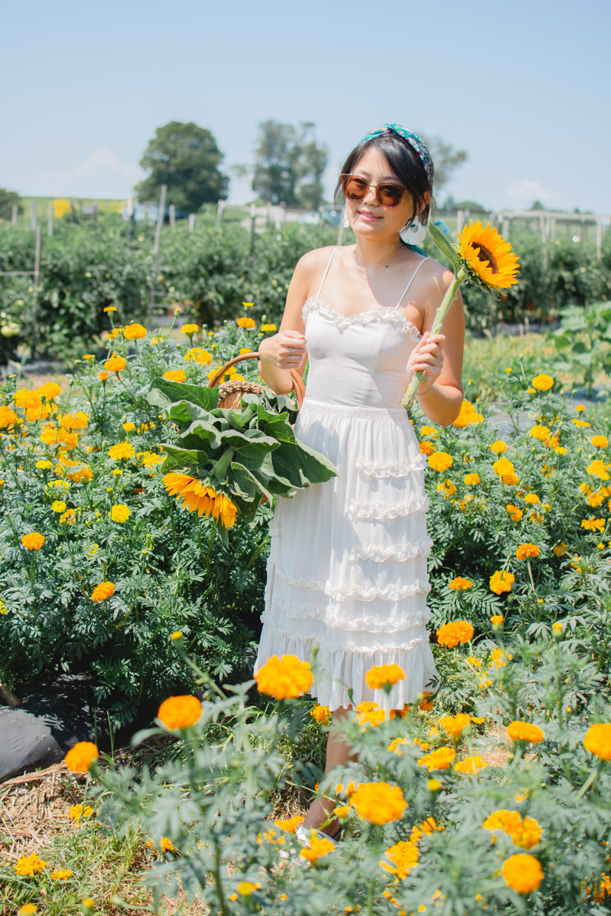 flower picking dc Sea of Blush