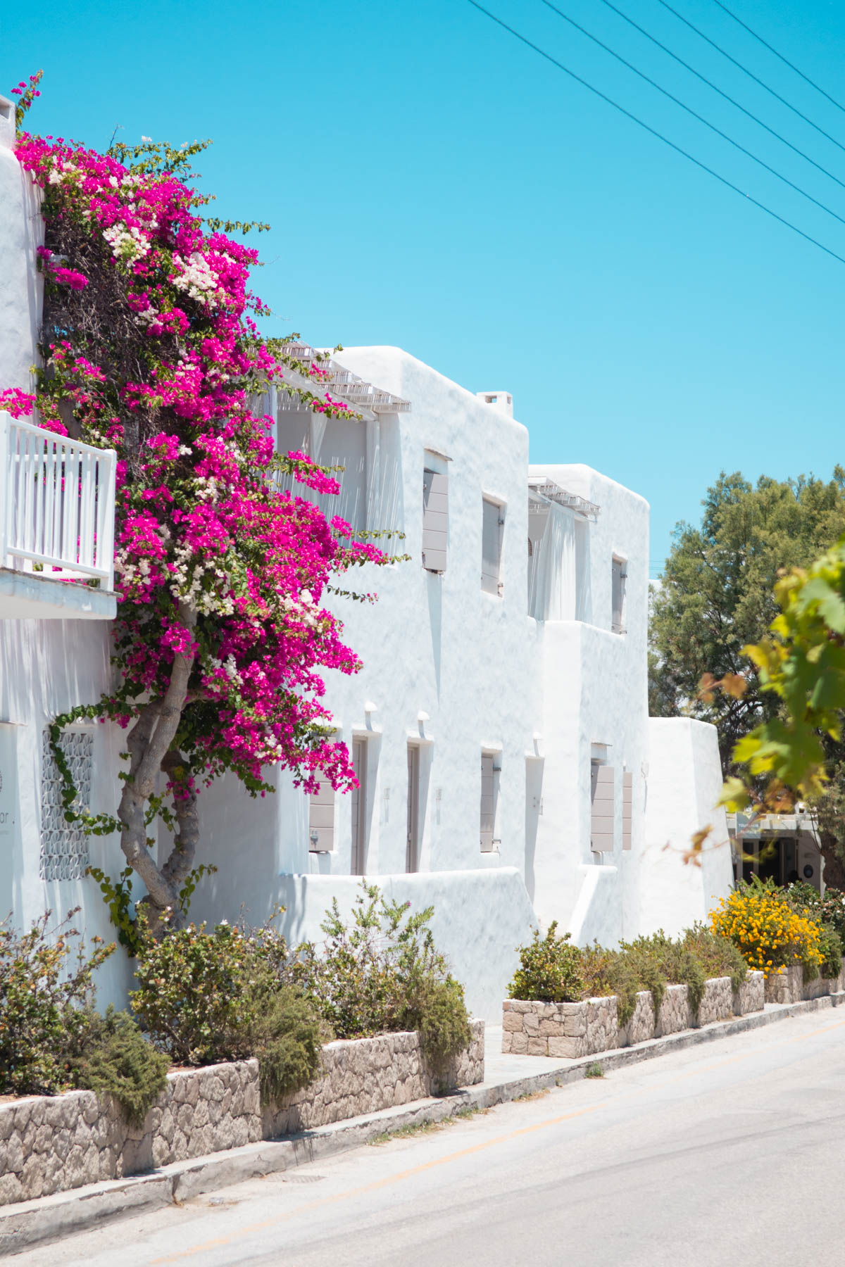 Milos, Greece Travel Guide The Best Things to Do