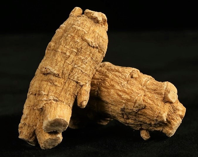 American Ginseng Roots Rated AA Best Quality 西洋参根