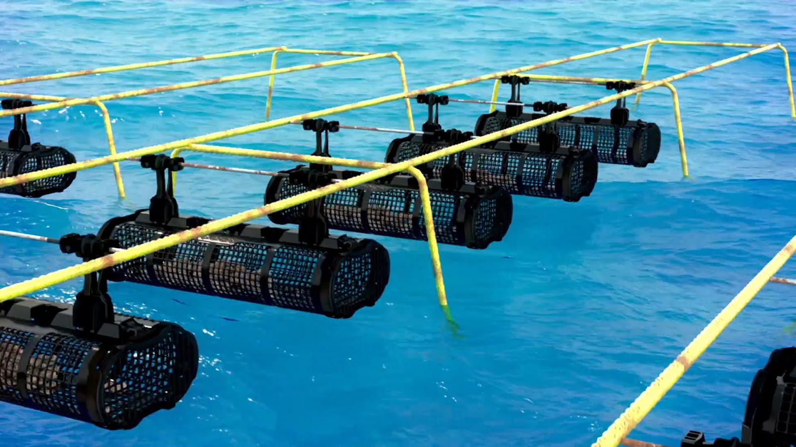 SEAPA GTX Oyster Basket Seapa Australia