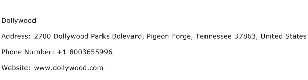 Dollywood Address, Contact Number Of Dollywood