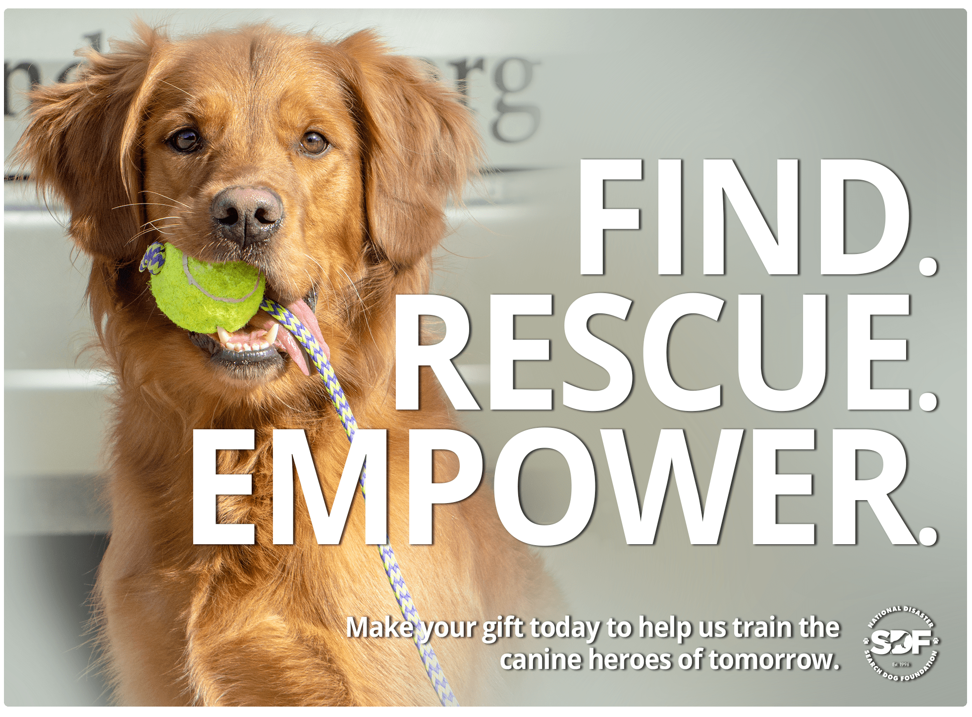 Donate to Search Dog Foundation
