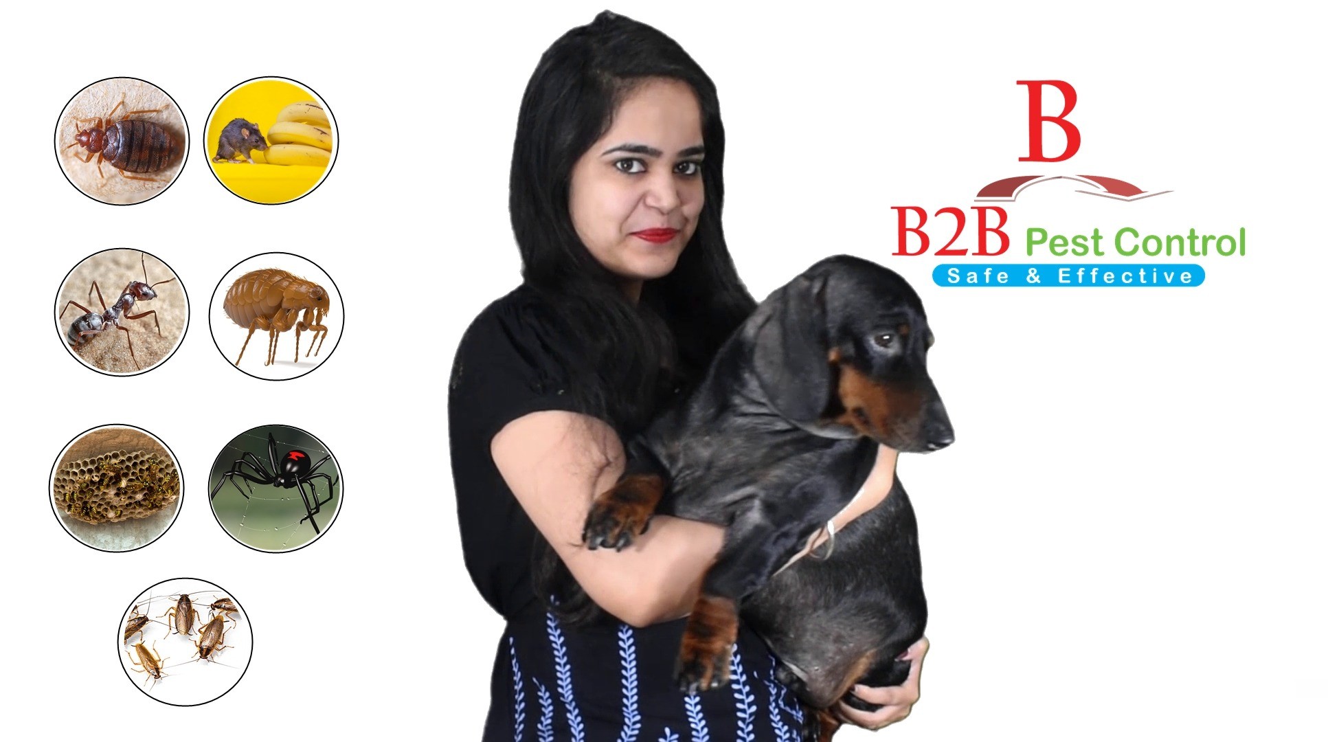 B2B PEST CONTROL Review Ratings & Information