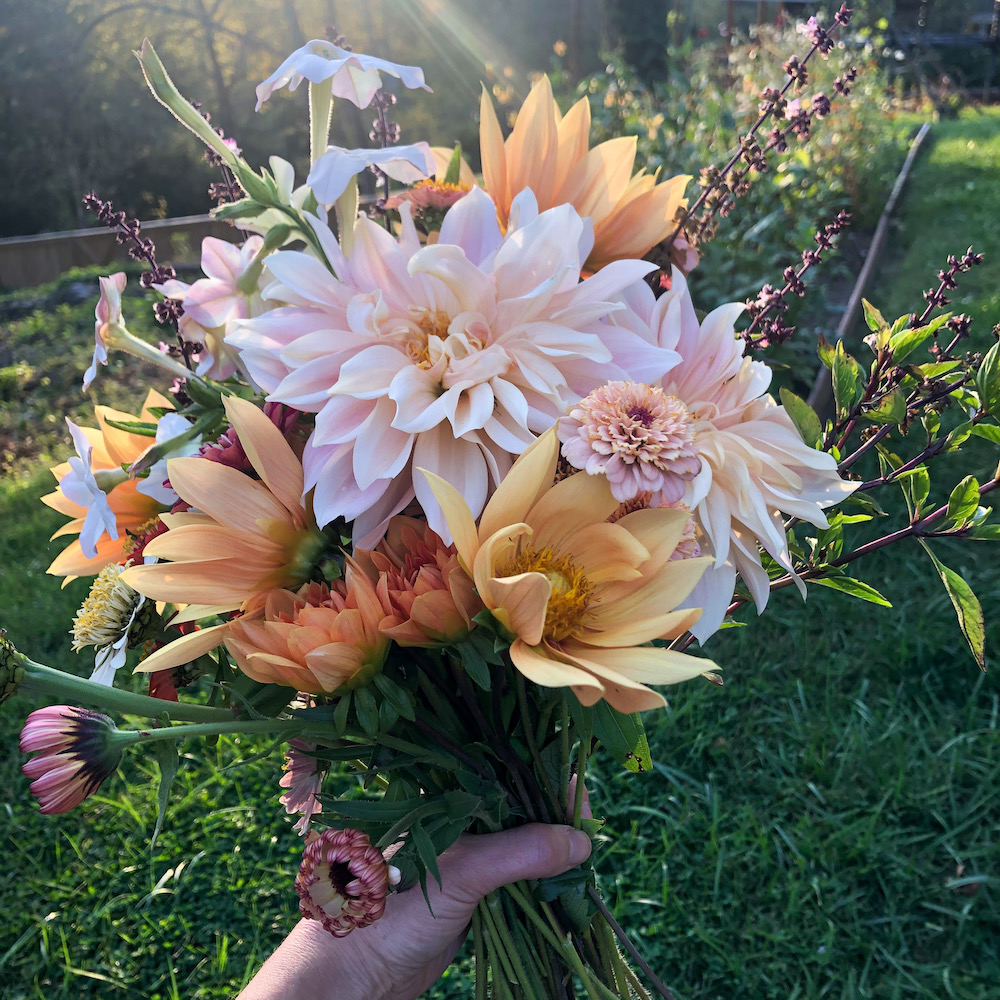 10 Best Flowers To Plant With Vegetables Searchversity