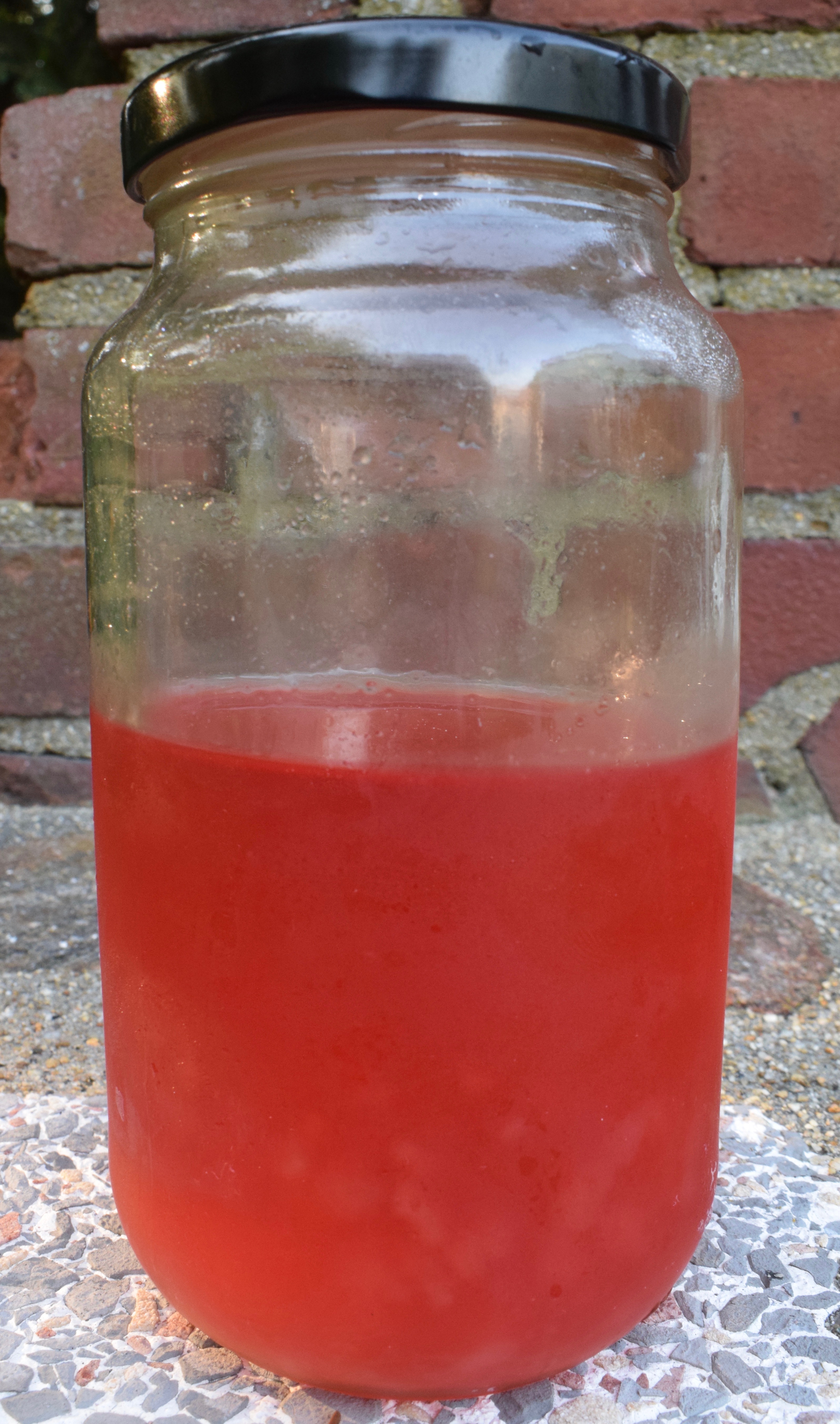 Rhubarb Simple Syrup Recipe for Cocktails, Nonalcoholic Drinks and as a