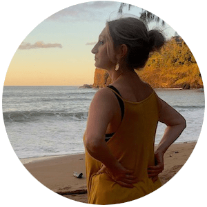 Beach Cams ~ The Best LIVE Beach Cameras on Youtube – Seashell Madness