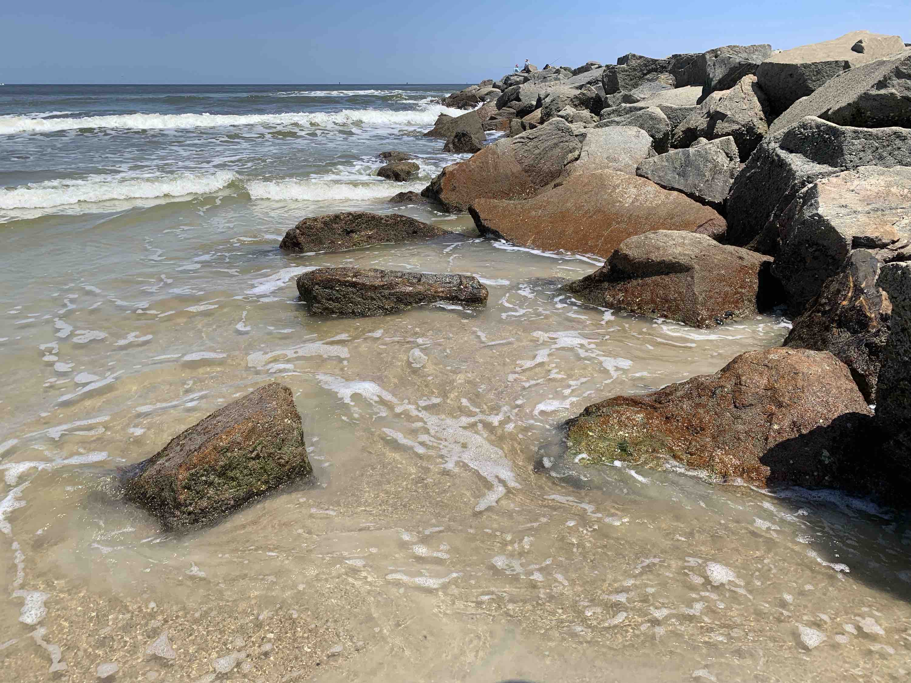 low tide jetty Seashells by Millhill