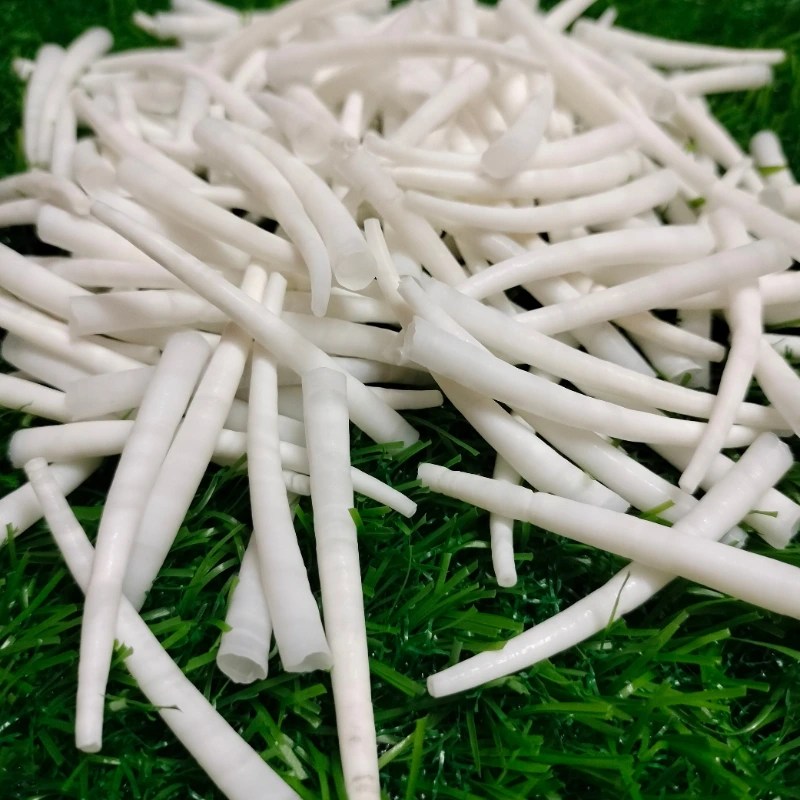 Smooth Dentalium Shells