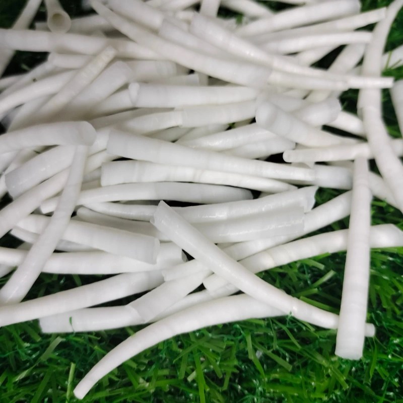 Smooth Dentalium Shells 1.75 To 2 Inch { 2.2 Lbs } Sea Shells From India