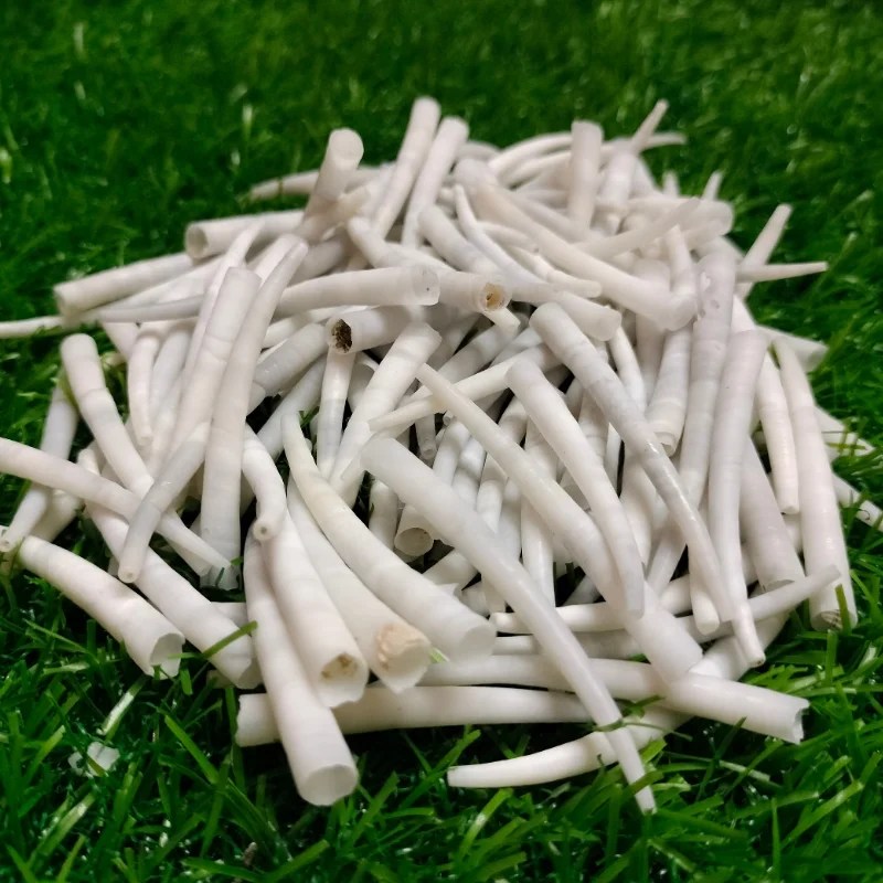 Smooth Black Dentalium Shells 2 To 2.2 Inch { 2.2 Lbs } Sea Shells