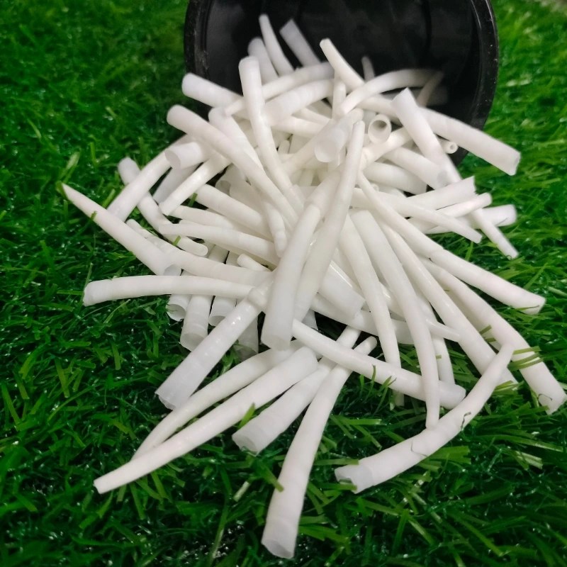 Smooth Dentalium Shells 1.75 To 2 Inch { 2.2 Lbs } Sea Shells From India