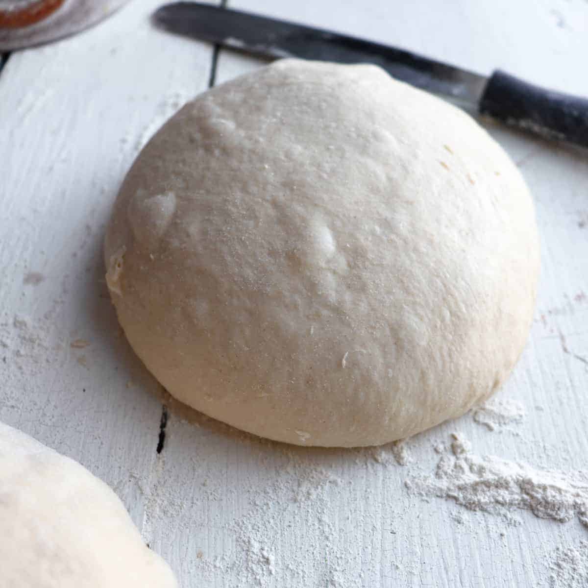 Sourdough Discard Pizza Dough Quick