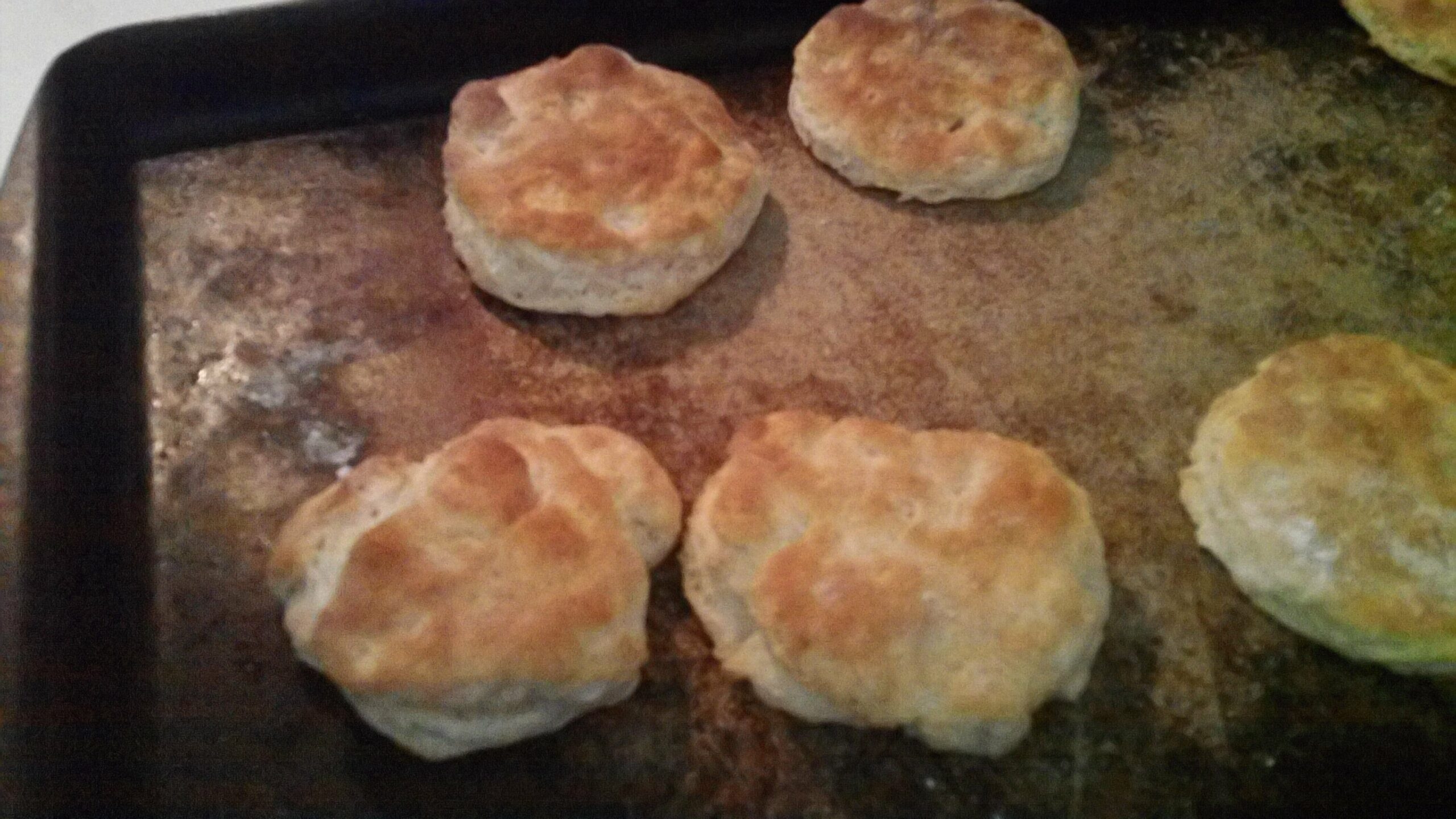 Survival Biscuits [these are incredible] SCP Survival