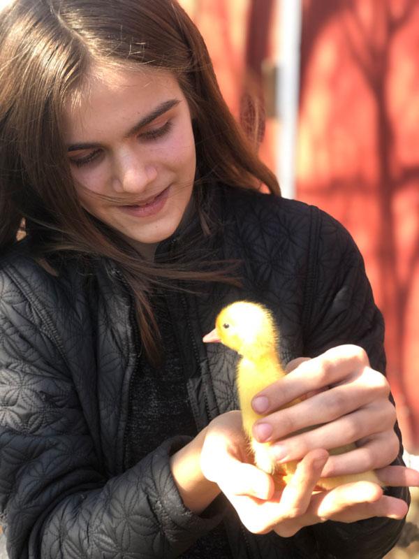 About Sea to Farm Real Estate