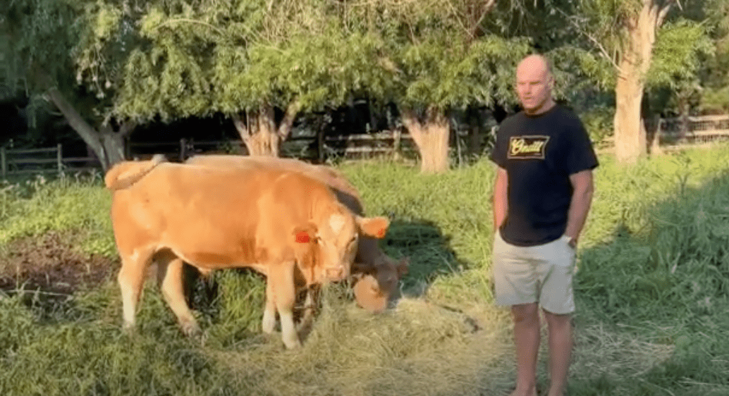 Blog Sea to Farm Real Estate