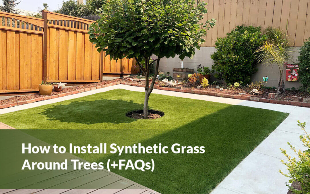 How to Install Synthetic Grass in Seattle Around Trees +FAQs