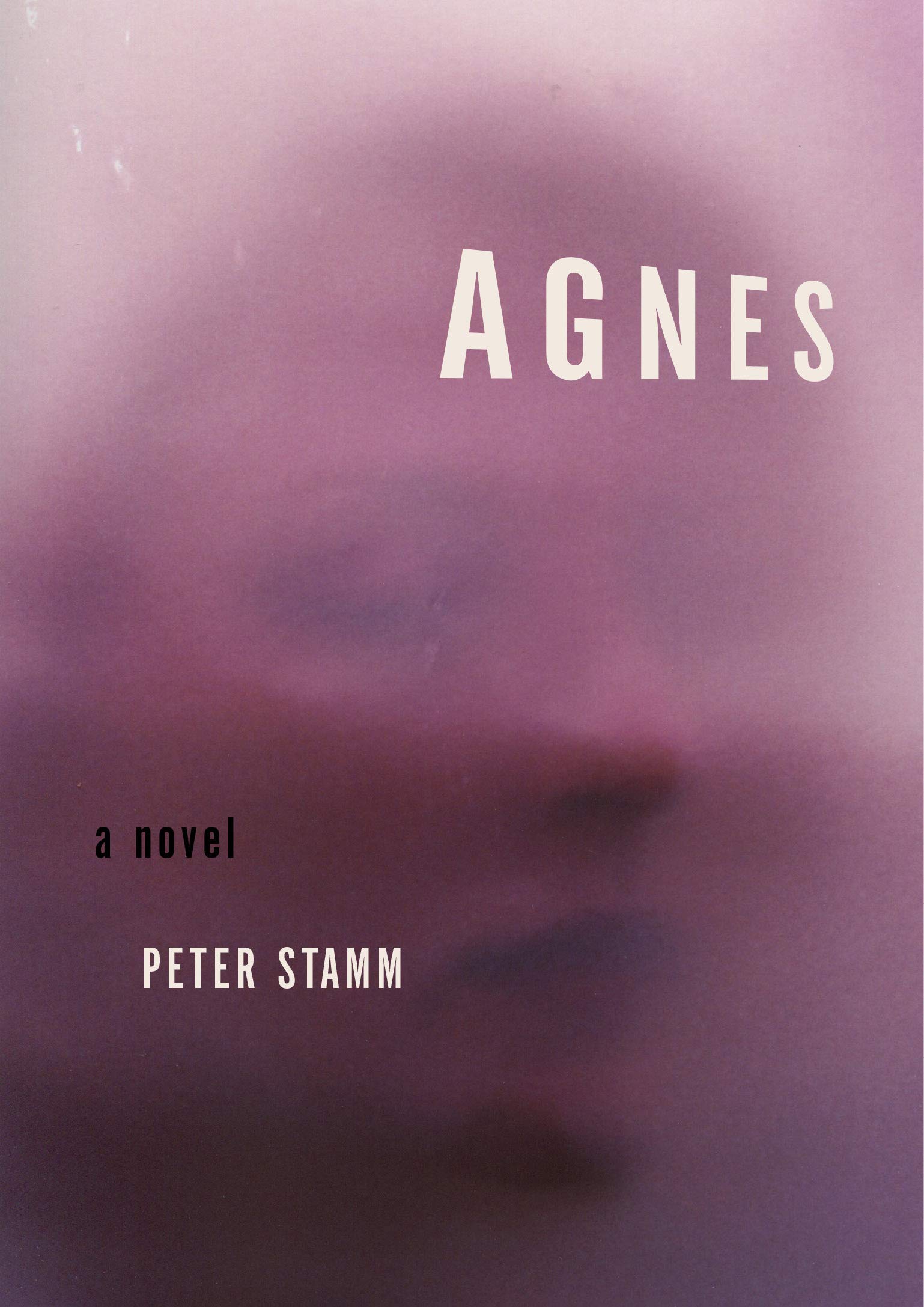 Agnes A Novel Seattle Book Review