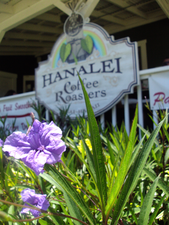 Coffee in Hawaii A Trip to Kauai Seattle Coffee Scene