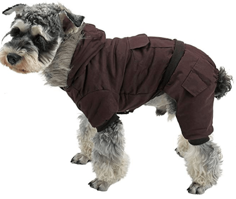Our Top Picks for Winter Wear Seattle Dog Zone