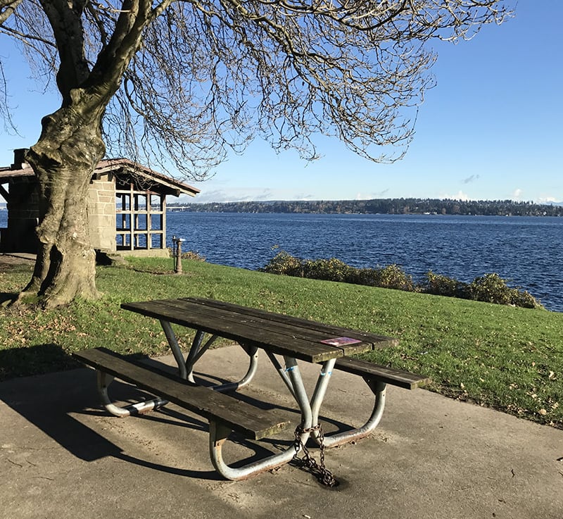 Grand 1913 Craftsman Home in Madrona Seattle Dream Homes Seattle