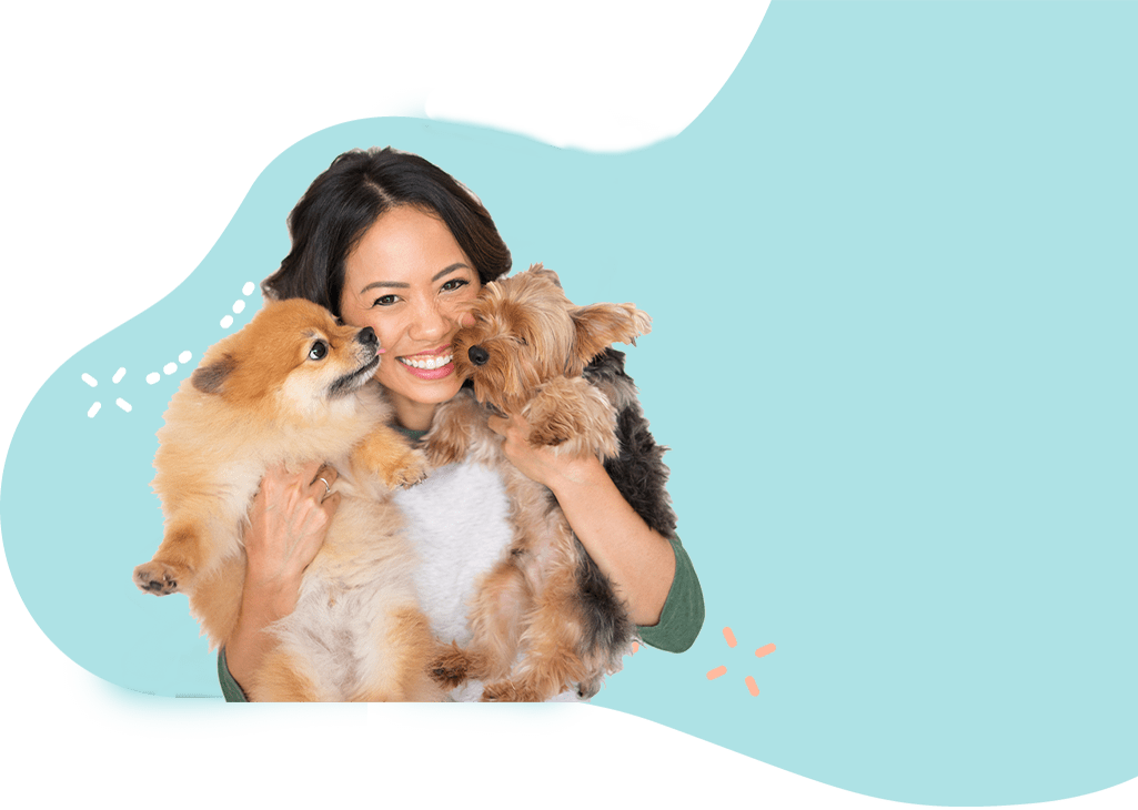 Contact Seattle Pet Sitters and More