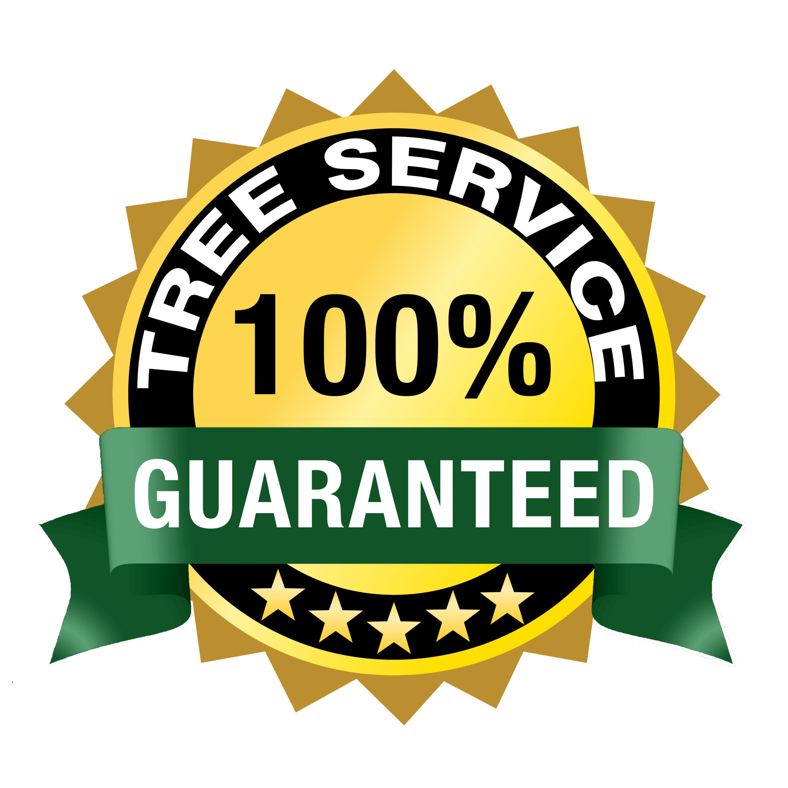 Tree Care Seattle Tree Care