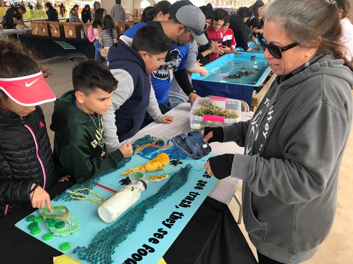 Volunteer Sea Turtle, Inc