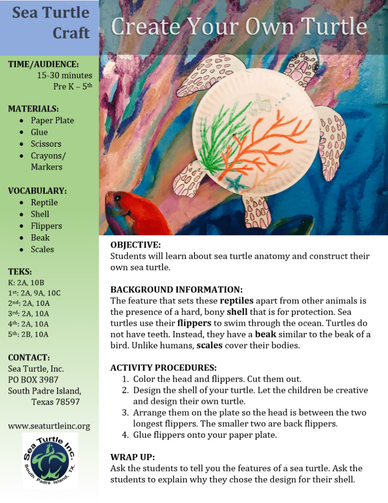 Create your own Sea Turtle Sea Turtle, Inc