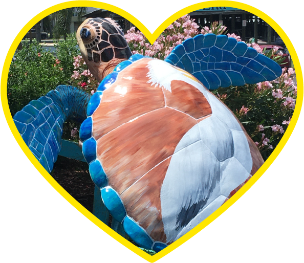 Turtles About Town Turtle Island Restoration Network