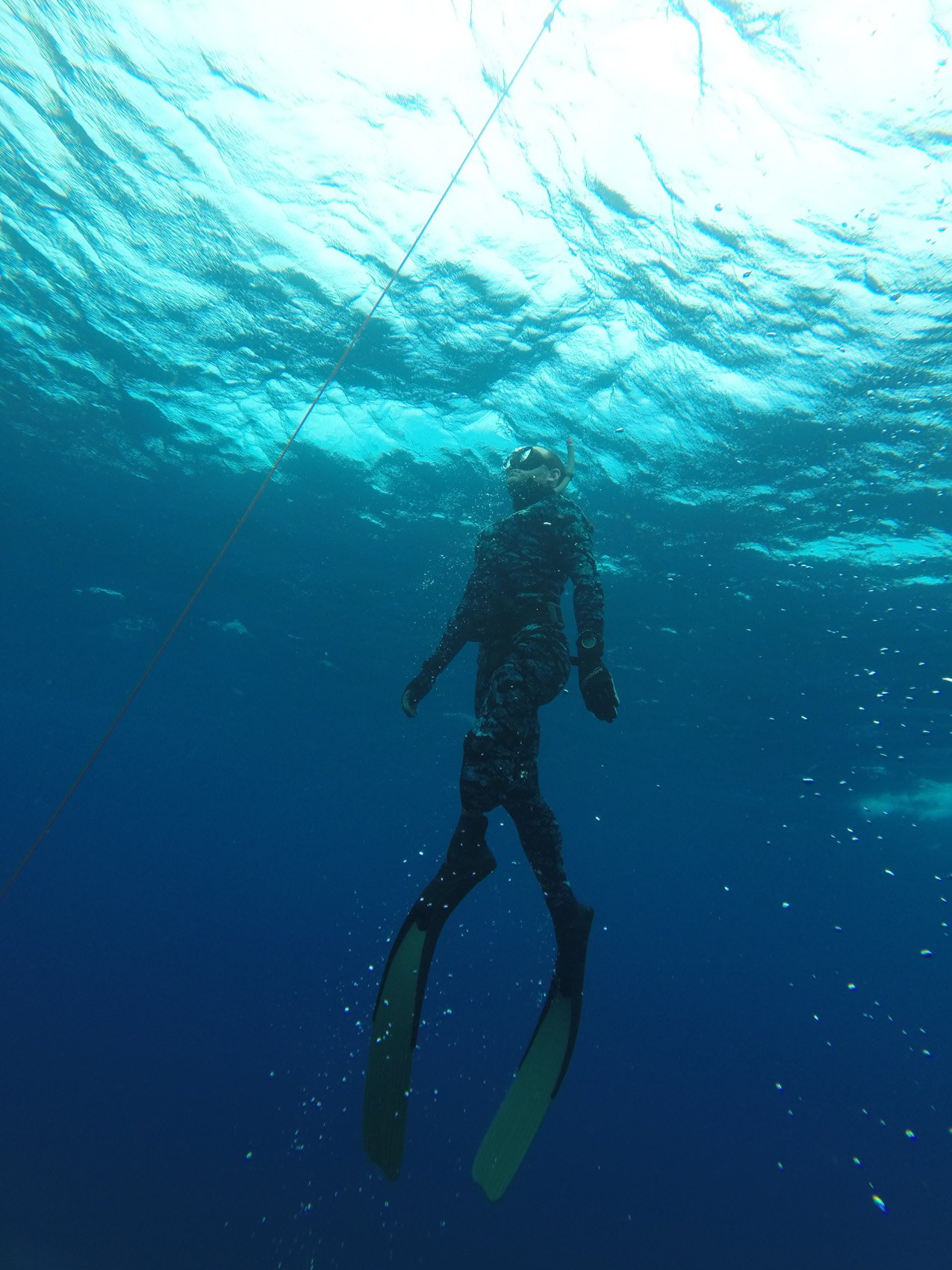 Line Diving Ascent Interesting Photographs Seaunseen