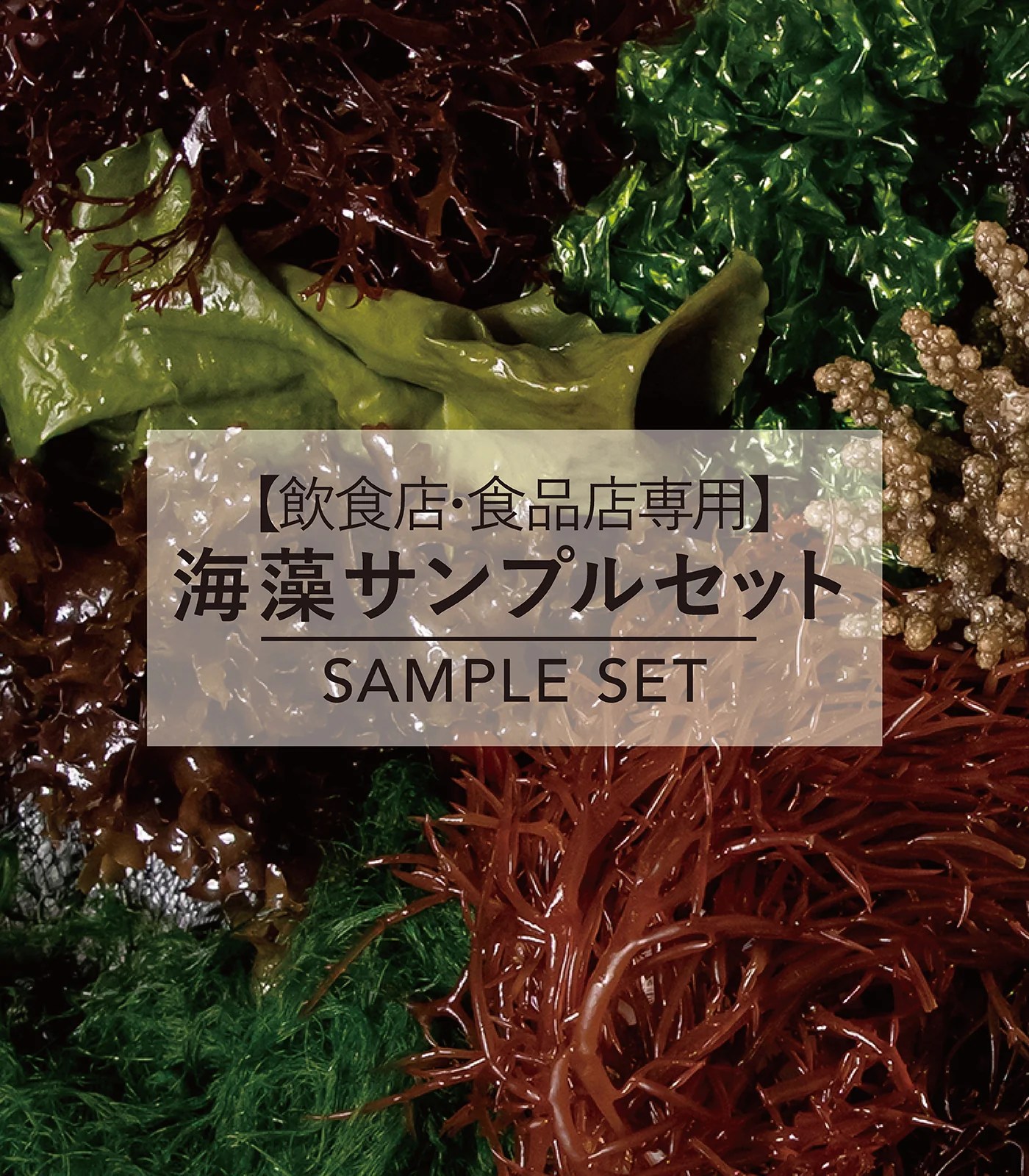 【飲食店・食品店専用】海藻サンプルセット／シーベジタブル SEA VEGETABLE COMPANY