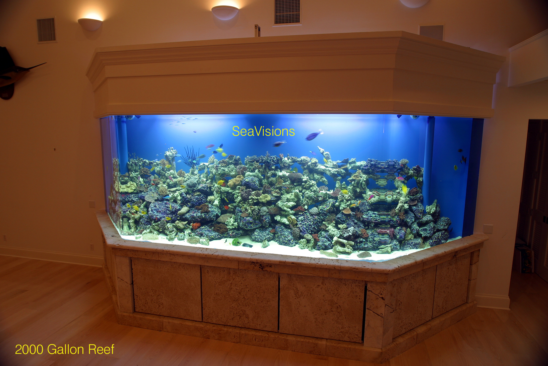 High End Custom Aquariums SeaVisions of South Florida