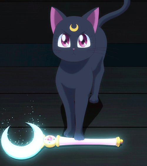 Mixed Sailor Moon Pix