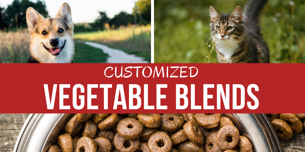 What Fruits And Vegetables Are Best For Dogs