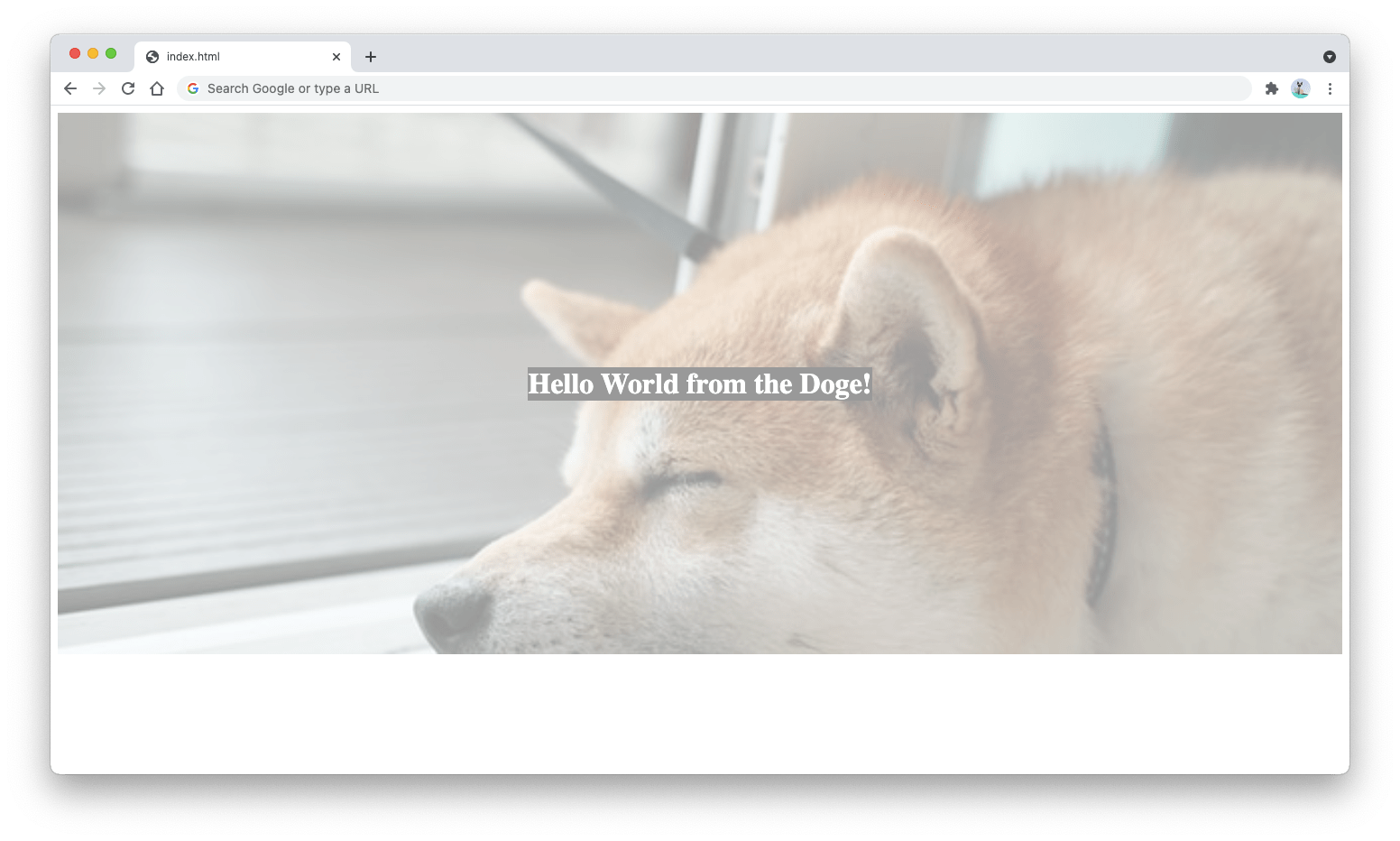 Details 200 how to set opacity of background image in css Abzlocal.mx