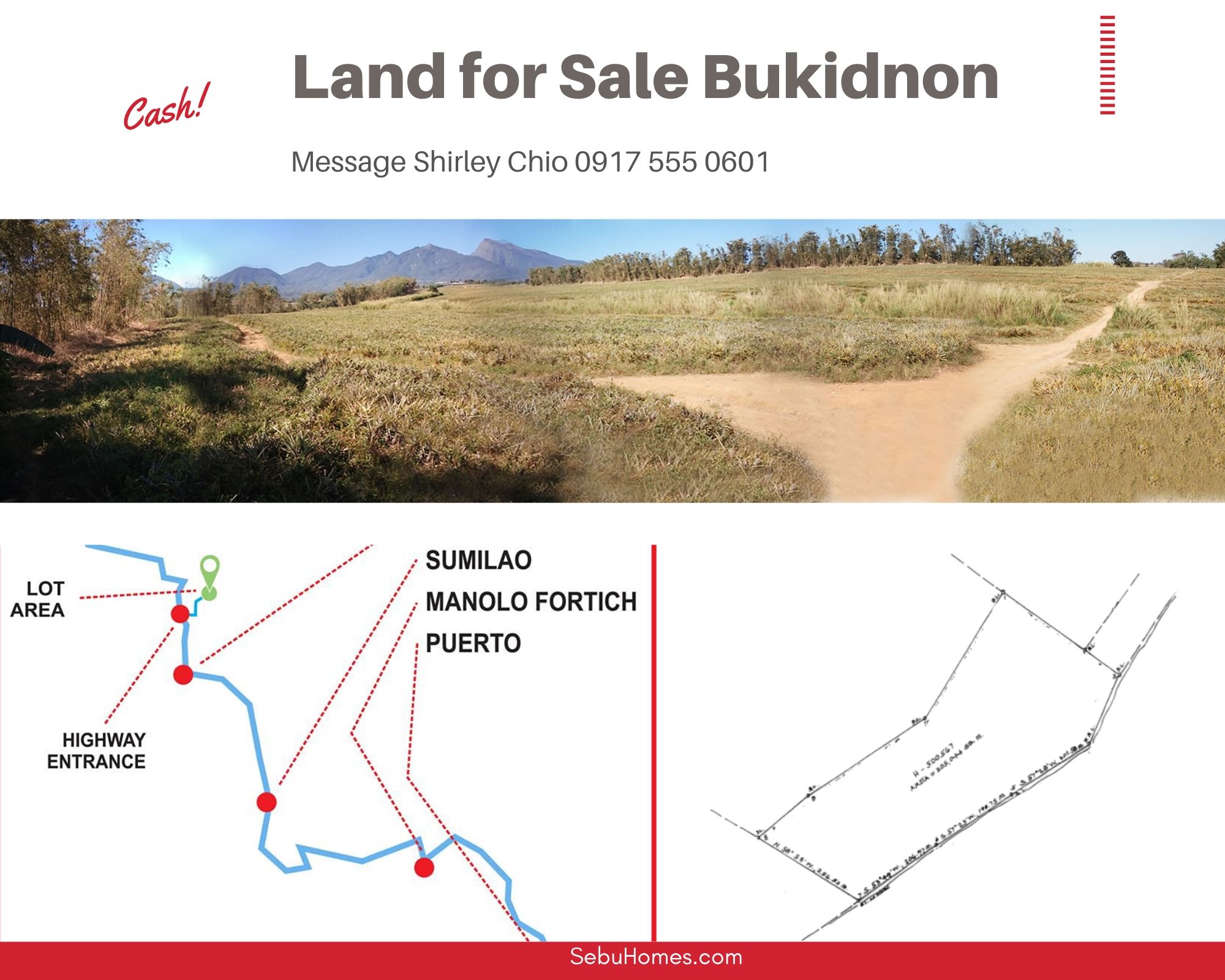 Over 20 Hectares Land For Sale In Impasugong Bukidnon CDO Philippines
