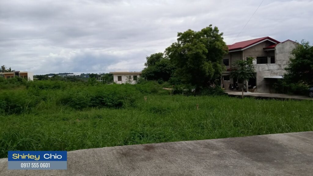 Cebu for Sale Nangka Consolacion Flat Terrain Lots for Sale in Cebu