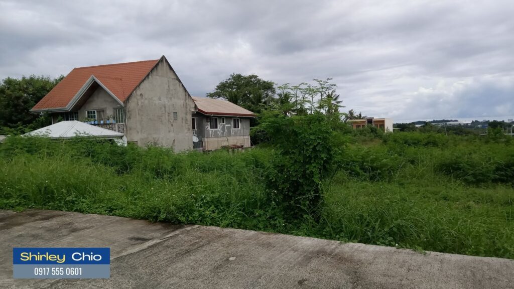 Cebu for Sale Nangka Consolacion Flat Terrain Lots for Sale in Cebu