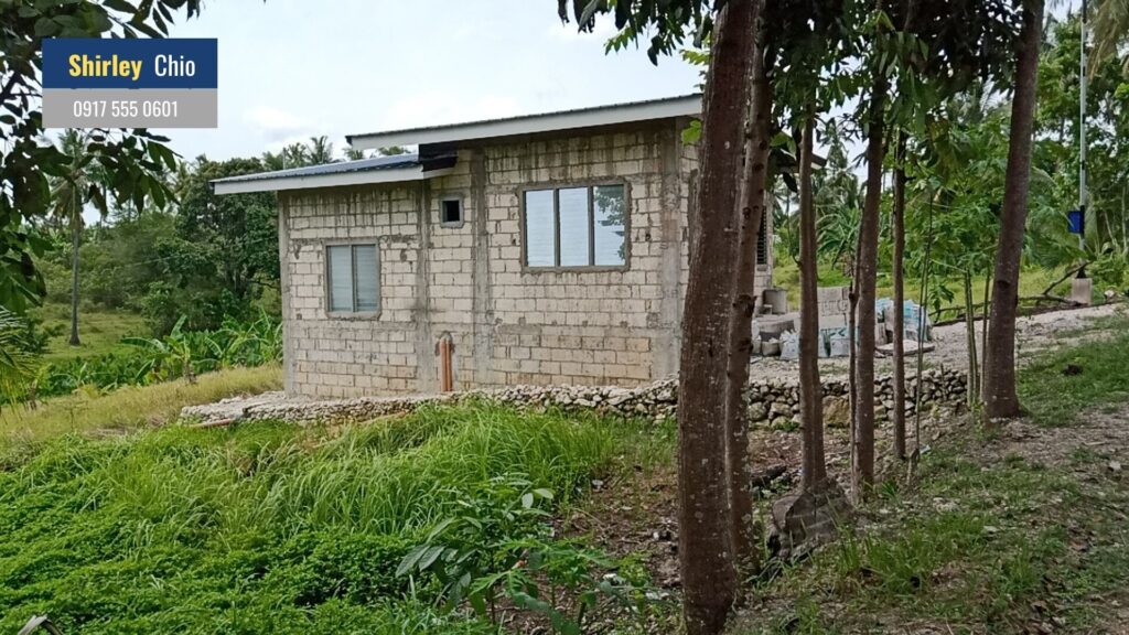 Cebu Rentals Bogo Cebu House for Rent P15k in Addition to the 1