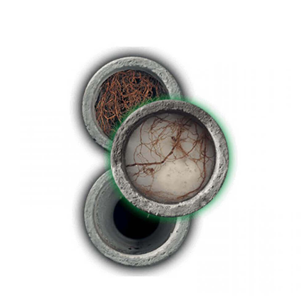 10 Reasons Why You Should Consider RootX SECA