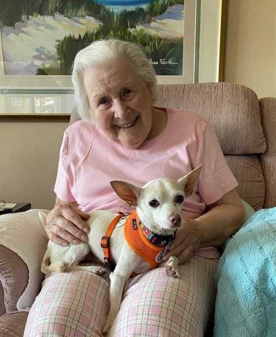 AD Receiving a puppy as a 100th birthday gift brought tears of joy to